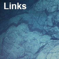 Links